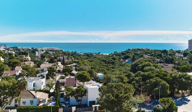 Apartamentos - Dehesa de campoamor — 22