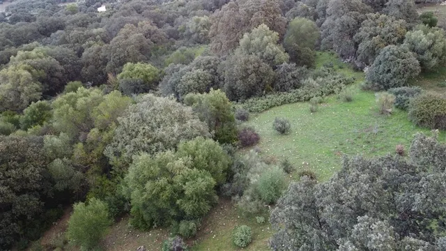 Casa-Chalet en Venta en Benalauria Málaga — 6