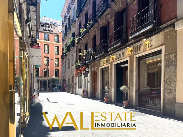 MARAVILLOSO PISO EN MALASAÑA — 17