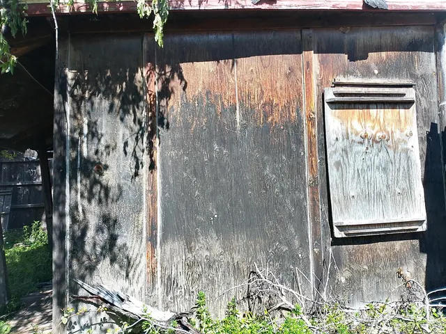 Finca ideal para construir tu casa. — 8