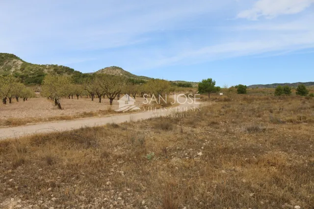 VENTA DE TERRENO EN JUMILLA — 5