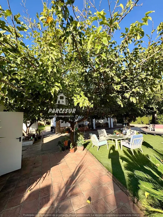 Encantadora Casa de Campo en ctra aeropuerto, Córdoba - foto 5