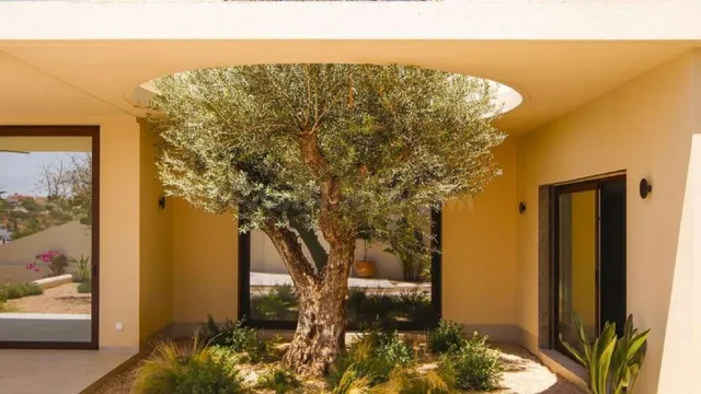 Villa 4 habitaciones 350m² en venta - La marina — 29