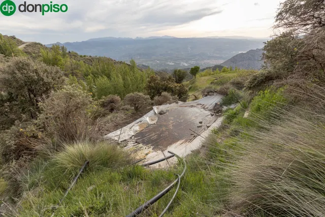 Cortijo Sierra Nigüelas — 45