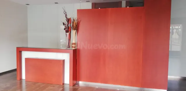 EXCELENTE LOCAL COMERCIAL. DIVISIBLE. - foto 5