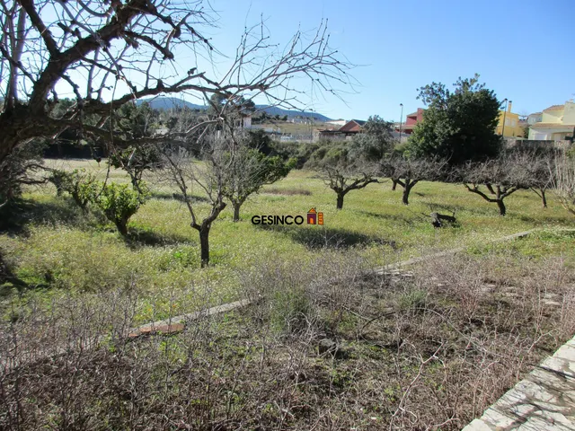 CHALET DE ORIGEN BIEN CONSERVADO CON PISCINA — 11