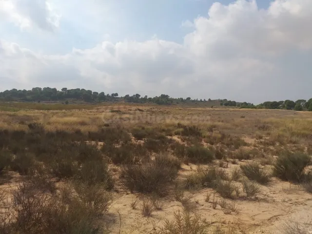 SE VENDE PARCELA EN JUMILLA