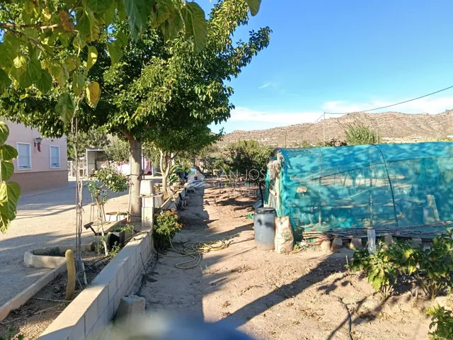 SE VENDE CHALET EN BUEN ESTADO EN ASPE ZONA CARRETERA DE LA ROMANA — 45