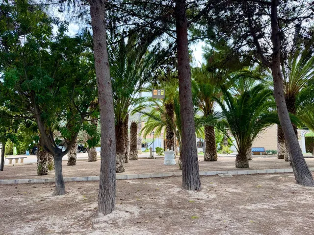 FINCA EXCLUSIVA CON GRAN POTENCIAL EN ELDA - foto 4