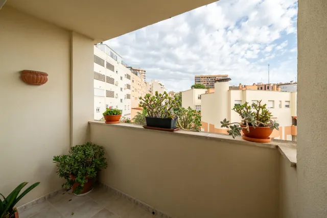 Dúplex de tres habitaciones en ZONA COLEGIOS — 4