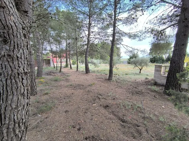 Villa 5 habitaciones 360m² en venta - Ayuntamiento — 17