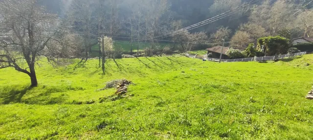 TERRENO URBANO EN BORLEÑA IDEAL PARA VIVIENDA UNIFAMILIAR.- — 6
