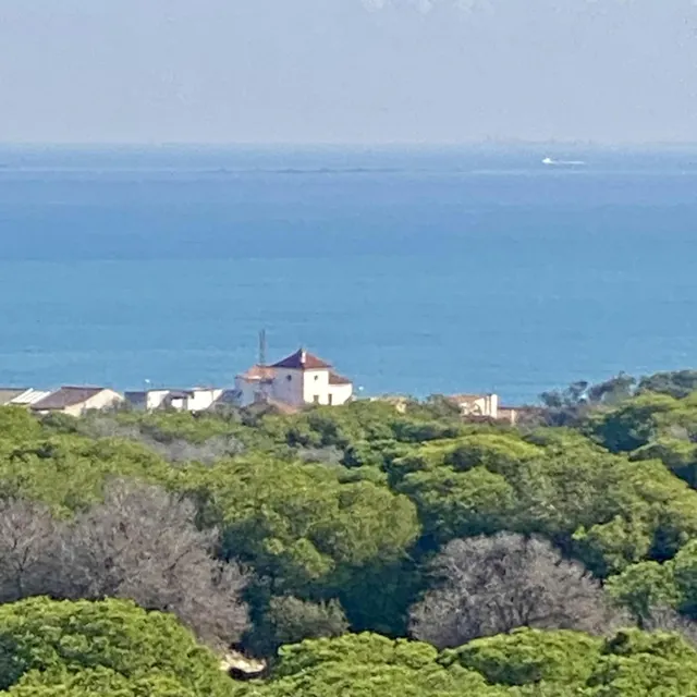 Apartamentos de lujo de nueva construcción cerca de la playa en Guardamar del Segura — 19
