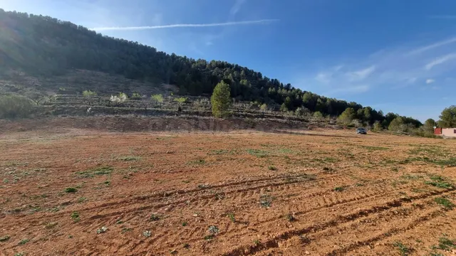 Venta de Terreno en Bullas, proximo al "Salto del Usero" - foto 2