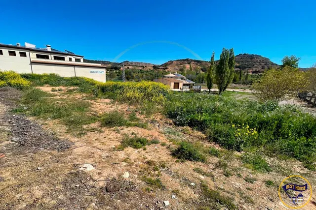 SOLAR EN VENTA URBANIZABLE EN CAÑAVERAS - foto 4
