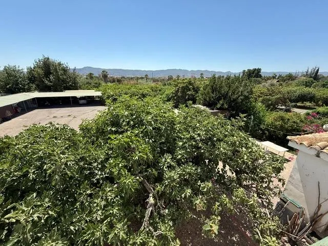 VENTA FINCA 9.000 M2. EN LA ARBOLEJA, CON CASA, PISCINA Y TERRENO CON FRUTALES, NECESITA REFORMA. — 11