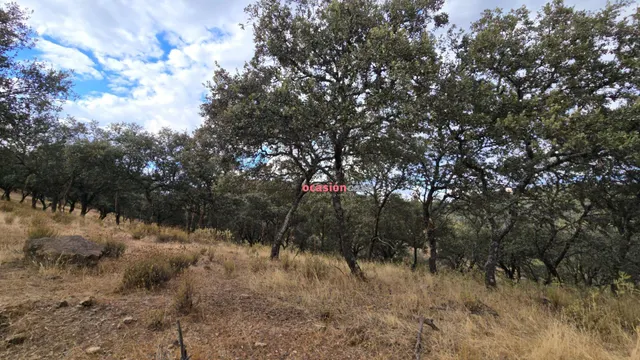 FINCA RUSTICA CON VIVIENDA — 6