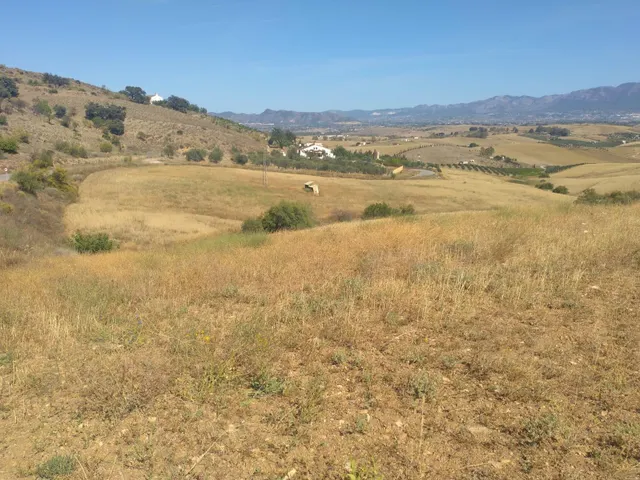 !!EN VENTA TERRENOS NO URBANIZABLES DE GRAN EXTENSIÓN!! — 8
