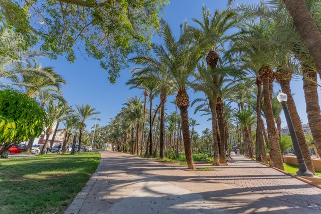 ¡Tu nuevo hogar a estrenar frente al parque en Altabix! — 7