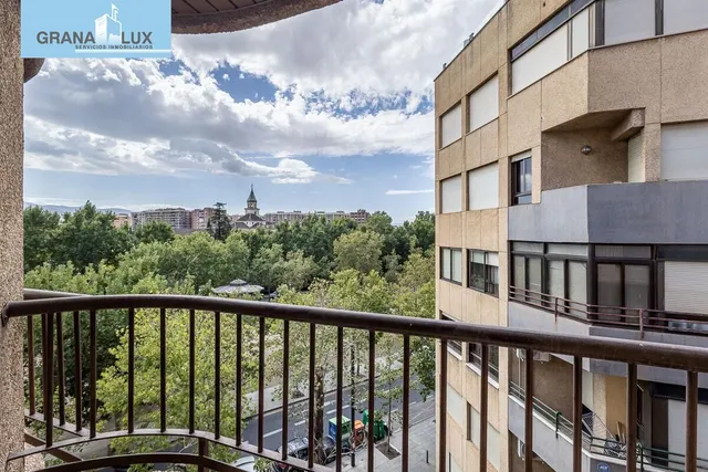 Pisazo en paseo del salón - Granada — 21