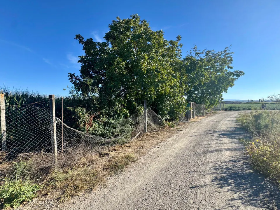 TERRENO RÚSTICO EN VENTA EN CHAUCHINA – 3.146 m2 CON POZO Y construcciones