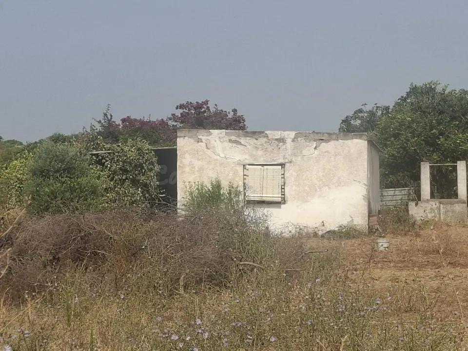 FANTASTICA PARCELA CON construcción EN EL PAGO DEL HUMO