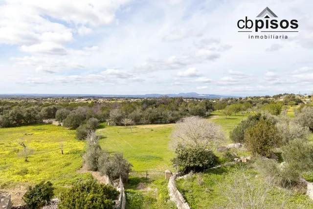 SE VENDE EXCLUSIVA FINCA RÚSTICA EN FELANITX — 28