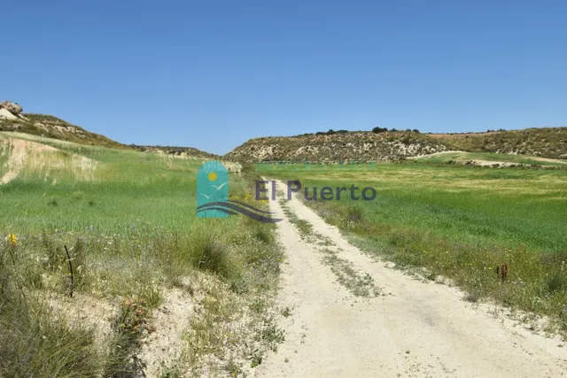 TERRENO DE 20.000 METROS EN LA MAJADA — 14