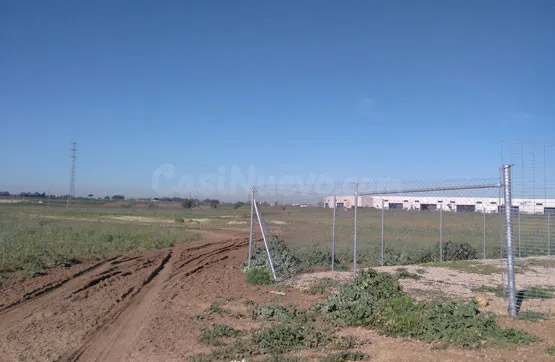 Parcela 1956m² en venta - La Paz - Montecarmelo - foto 3