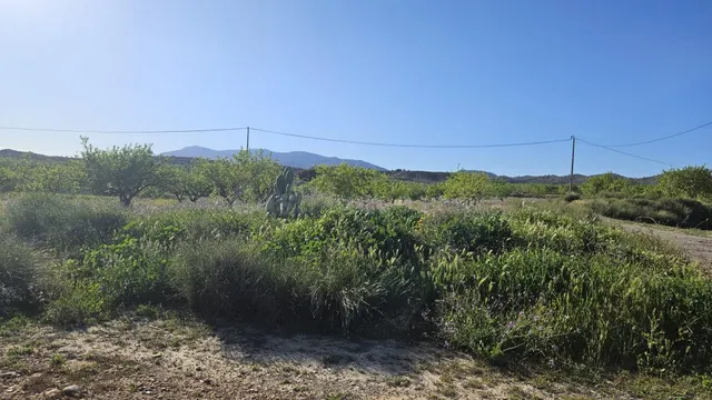 Se vende parcela rústica de 17.000 m2 en Corvera — 2