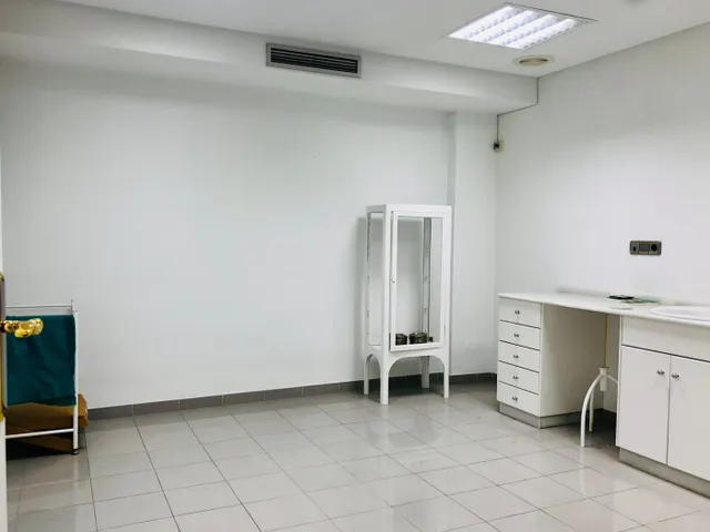 ENTRESUELO COMERCIAL EN DOCTOR CARO — 6