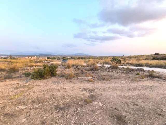 Parcela edificable 12234 m2 en Pinoso - Construir casa en en - foto 4