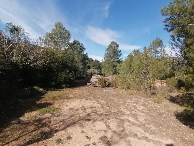 FINCA RUSTICA EN BORRIOL — 2