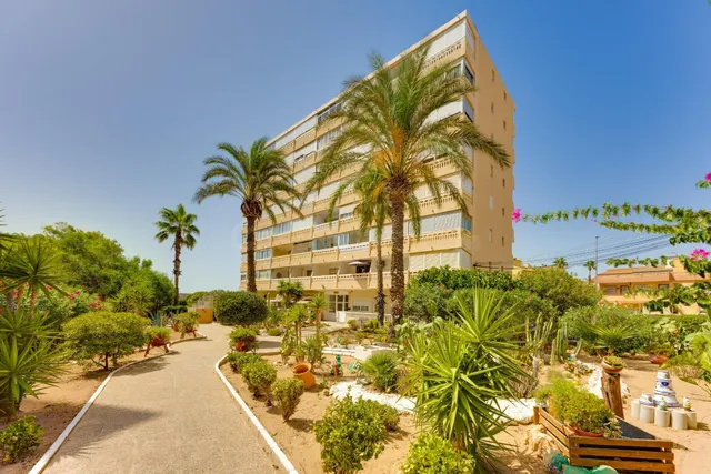 Apartamento de 1 dormitorio con parking comunitario a 240m de la Playa de La Mata — 25