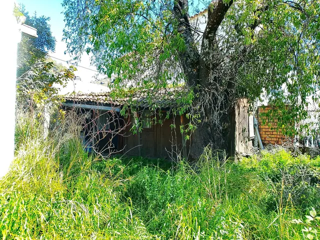 Finca ideal para construir tu casa. — 6