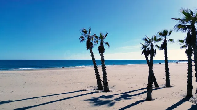 Piso 3 habitaciones 159m² en alquiler - Port de sagunt — 26