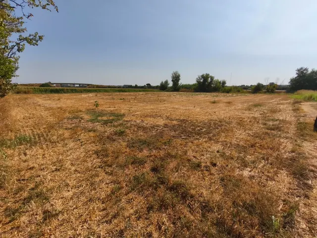 Fincas rústicas en Lleida – venta conjunta — 5
