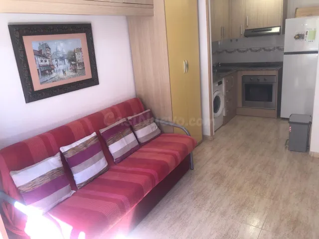 APARTAMENTO DE UNA habitación EN ALQUILER HASTA JUNIO - foto 2