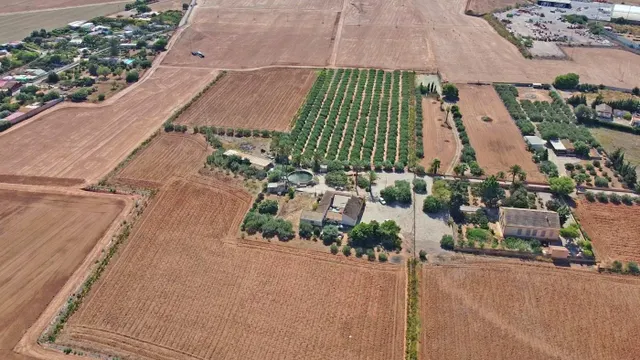 FINCA DE 37.000 M2 CON 3 VIVIENDAS DE MAS DE 700 M2 - foto 4