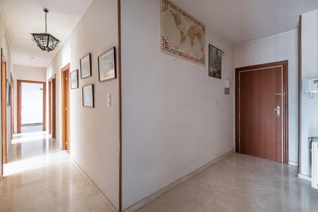 Piso con vistas a Sierra Nevada en Paseo del Salón. — 22