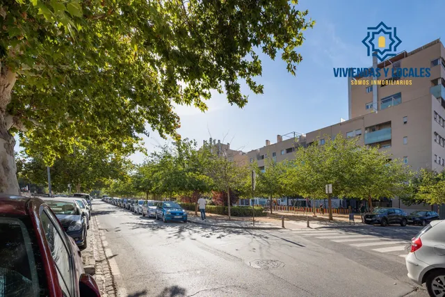 Local comercial en el Campus de la Salud — 14