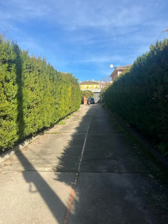 UNA PARCELA DE 3000 M2 SEGREGABLE EN TRES CON DOS CHALETS CON BUENA UBICACIÓN — 38
