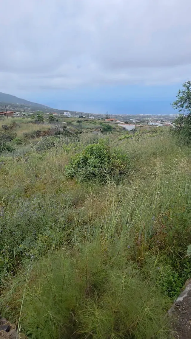 Terreno rústico de 808 m2 en Arafo, Tenerife | Excelente acc - foto 5
