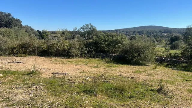 Se vende finca rústica con caseta en Marratxí — 6