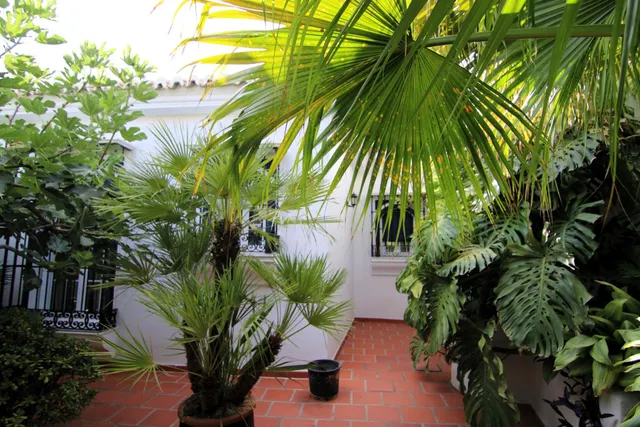 Encantadora casa en venta en Coín – ¡Una joya única con espectaculares vistas! — 27