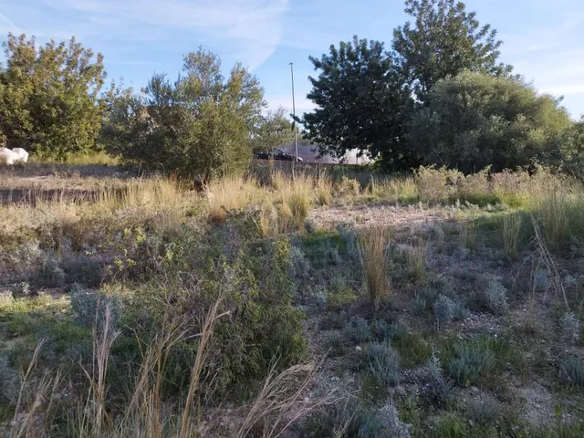 ESPECTACULAR TERRENO URBANO DE 1800 M2 EN PICASSENT URBANIZACION ALTERO DE MOMPOI — 29