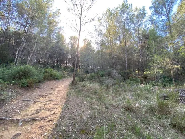 OPORTUNIDAD ENORME TERRENO EN VENTA POR 150.000€ — 28