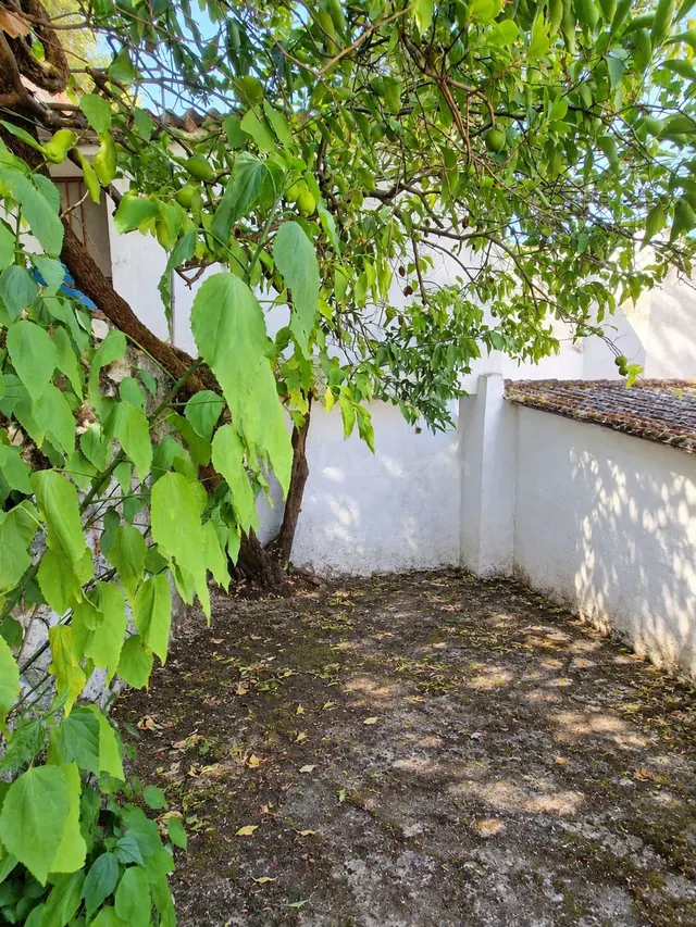 VENTA DOS VIVIENDAS UBRIQUE. ZONA LOS PINITOS - foto 3