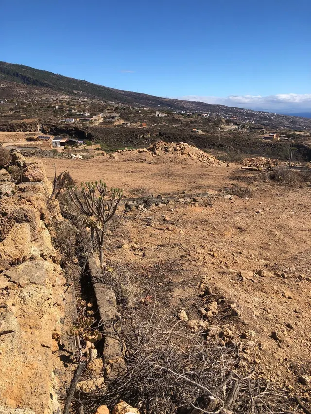 Terreno en Fasnia — 2