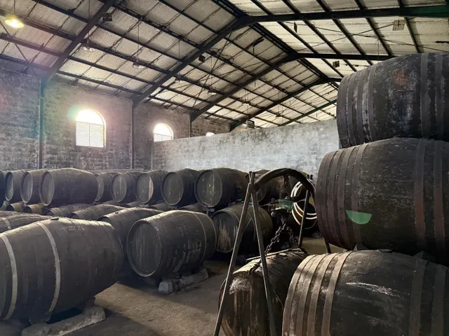Viñedo de 24,40ha 1300m2 naves y 400m2 restaurante — 28